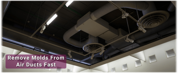 Air Duct Mold Removal in League City