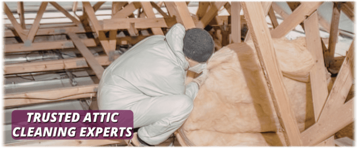 Attic Cleaning League City